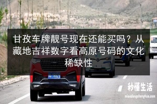 甘孜车牌靓号现在还能买吗？从藏地吉祥数字看高原号码的文化稀缺性 第3张