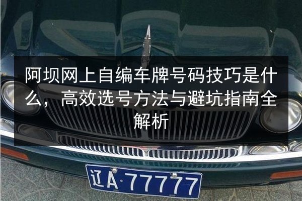 阿坝网上自编车牌号码技巧是什么，高效选号方法与避坑指南全解析 第3张