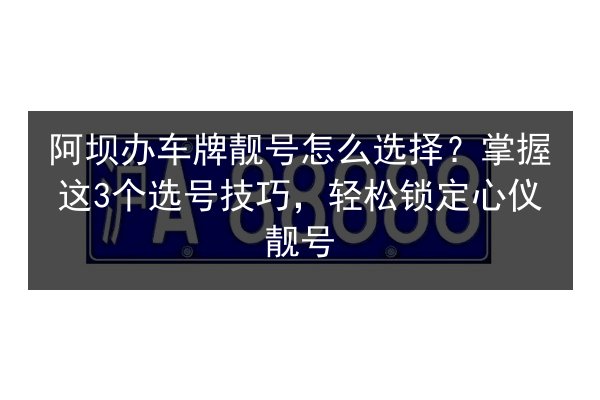 阿坝办车牌靓号怎么选择?掌握这3个选号技巧,轻松锁定心仪靓号 第2张 阿坝办车牌靓号怎么选择?掌握这3个选号技巧,轻松锁定心仪靓号 第2张
