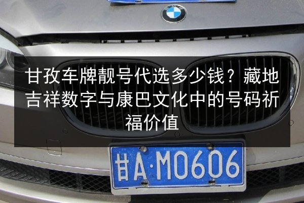 甘孜车牌靓号代选多少钱?藏地吉祥数字与康巴文化中的号码祈福价值 第3张 甘孜车牌靓号代选多少钱?藏地吉祥数字与康巴文化中的号码祈福价值 第3张
