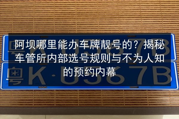 阿坝哪里能办车牌靓号的？揭秘车管所内部选号规则与不为人知的预约内幕 第1张