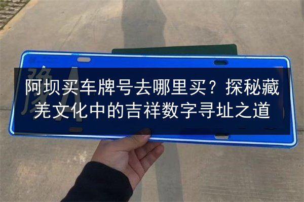 阿坝买车牌号去哪里买?探秘藏羌文化中的吉祥数字寻址之道 第2张 阿坝买车牌号去哪里买?探秘藏羌文化中的吉祥数字寻址之道 第2张