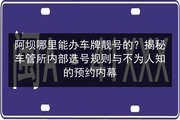 阿坝哪里能办车牌靓号的？揭秘车管所内部选号规则与不为人知的预约内幕 第3张