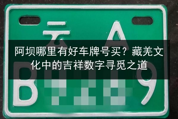 阿坝哪里有好车牌号买?藏羌文化中的吉祥数字寻觅之道 第2张 阿坝哪里有好车牌号买?藏羌文化中的吉祥数字寻觅之道 第2张