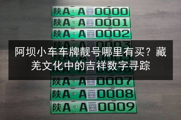 阿坝小车车牌靓号哪里有买？藏羌文化中的吉祥数字寻踪 第1张