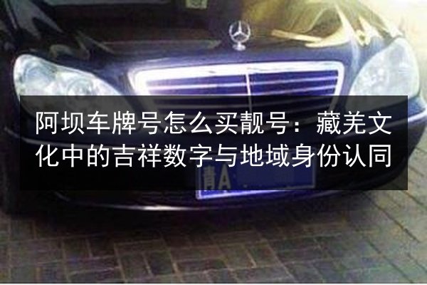 阿坝车牌号怎么买靓号:藏羌文化中的吉祥数字与地域身份认同 第3张 阿坝车牌号怎么买靓号:藏羌文化中的吉祥数字与地域身份认同 第3张