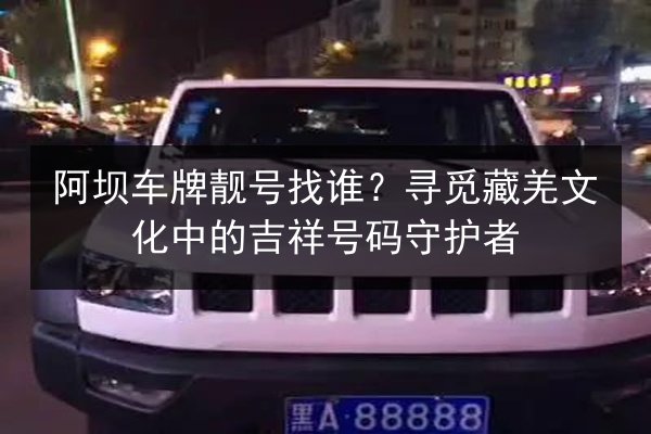 阿坝车牌靓号找谁?寻觅藏羌文化中的吉祥号码守护者 第2张 阿坝车牌靓号找谁?寻觅藏羌文化中的吉祥号码守护者 第2张