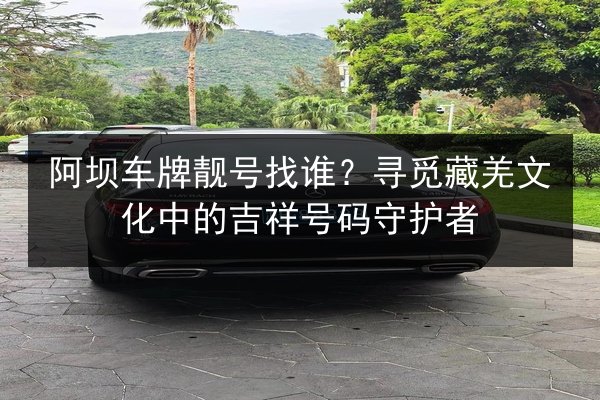 阿坝车牌靓号找谁?寻觅藏羌文化中的吉祥号码守护者 第3张 阿坝车牌靓号找谁?寻觅藏羌文化中的吉祥号码守护者 第3张