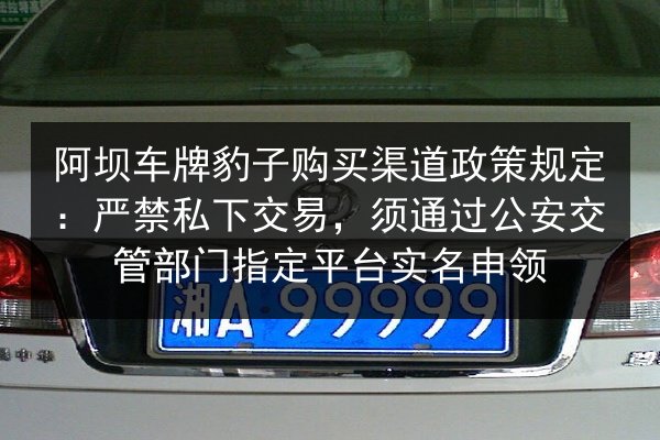 阿坝车牌豹子购买渠道政策规定：严禁私下交易，须通过公安交管部门指定平台实名申领 第2张