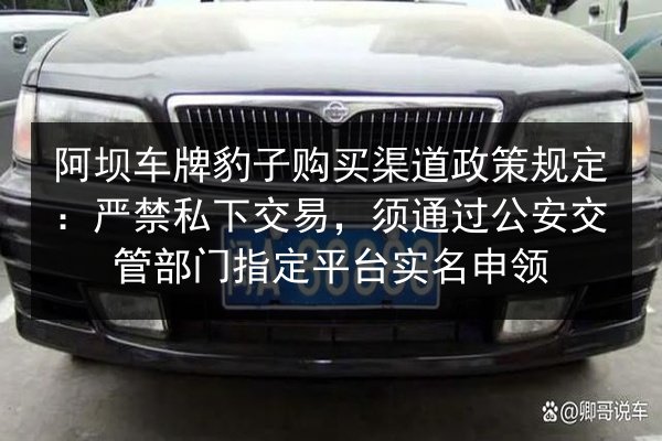 阿坝车牌豹子购买渠道政策规定：严禁私下交易，须通过公安交管部门指定平台实名申领 第3张