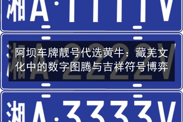 阿坝车牌靓号代选黄牛:藏羌文化中的数字图腾与吉祥符号博弈 第2张 阿坝车牌靓号代选黄牛:藏羌文化中的数字图腾与吉祥符号博弈 第2张