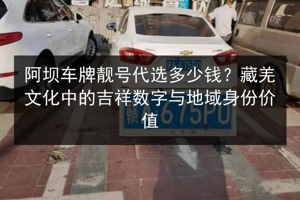 阿坝车牌靓号代选多少钱？藏羌文化中的吉祥数字与地域身份价值 第2张