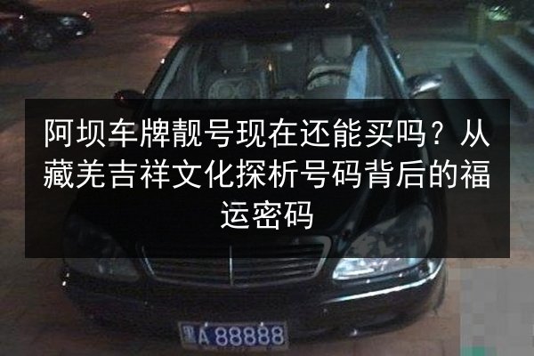 阿坝车牌靓号现在还能买吗？从藏羌吉祥文化探析号码背后的福运密码 第2张