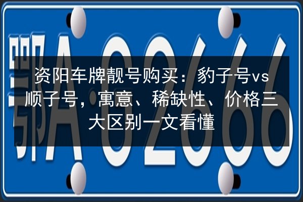 资阳车牌靓号购买：豹子号vs顺子号，寓意、稀缺性、价格三大区别一文看懂 第3张