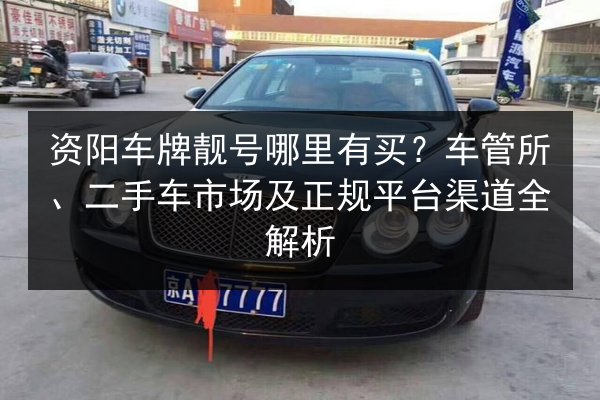 资阳车牌靓号哪里有买？车管所、二手车市场及正规平台渠道全解析 第2张