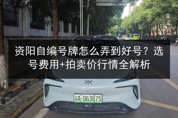 资阳自编号牌怎么弄到好号？选号费用+拍卖价行情全解析 第3张
