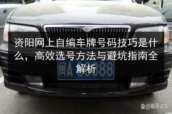 资阳网上自编车牌号码技巧是什么，高效选号方法与避坑指南全解析 第3张