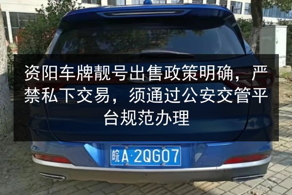 资阳车牌靓号出售政策明确，严禁私下交易，须通过公安交管平台规范办理 第3张