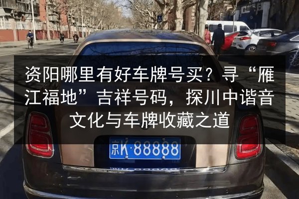 资阳哪里有好车牌号买?寻“雁江福地”吉祥号码,探川中谐音文化与车牌收藏之道 第2张 资阳哪里有好车牌号买?寻“雁江福地”吉祥号码,探川中谐音文化与车牌收藏之道 第2张