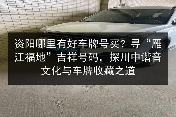 资阳哪里有好车牌号买?寻“雁江福地”吉祥号码,探川中谐音文化与车牌收藏之道 第3张 资阳哪里有好车牌号买?寻“雁江福地”吉祥号码,探川中谐音文化与车牌收藏之道 第3张