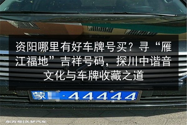 资阳哪里有好车牌号买?寻“雁江福地”吉祥号码,探川中谐音文化与车牌收藏之道 第4张 资阳哪里有好车牌号买?寻“雁江福地”吉祥号码,探川中谐音文化与车牌收藏之道 第4张