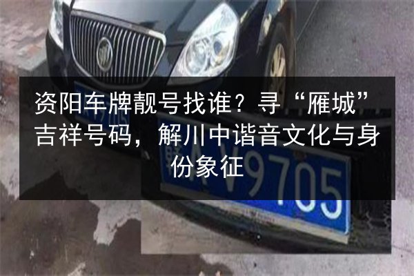 资阳车牌靓号找谁？寻“雁城”吉祥号码，解川中谐音文化与身份象征 第2张