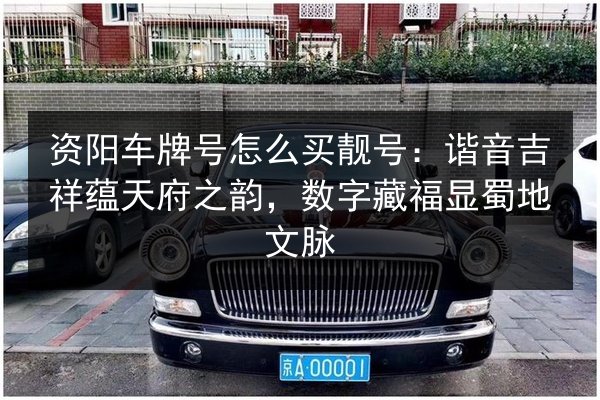 资阳车牌号怎么买靓号：谐音吉祥蕴天府之韵，数字藏福显蜀地文脉 第3张