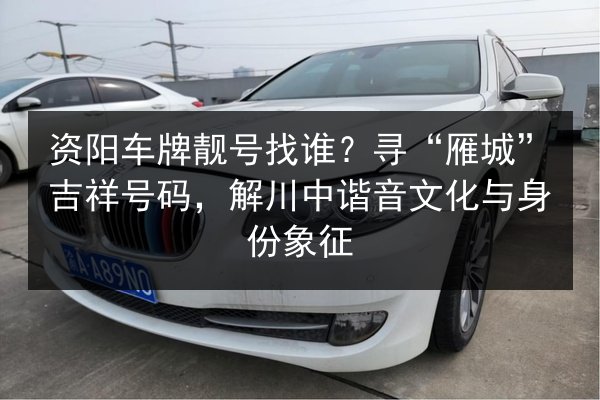 资阳车牌靓号找谁？寻“雁城”吉祥号码，解川中谐音文化与身份象征 第3张