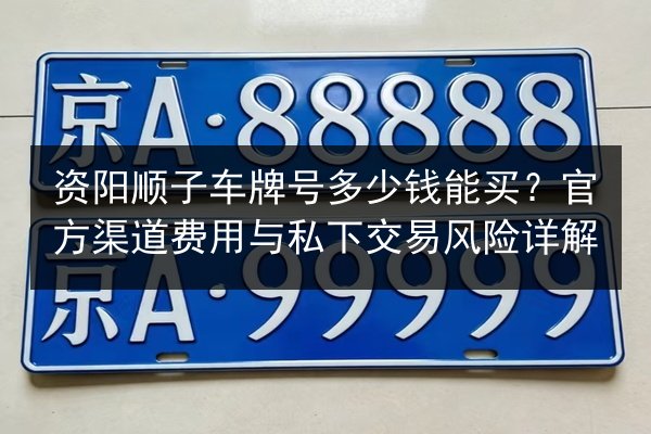 资阳顺子车牌号多少钱能买？官方渠道费用与私下交易风险详解 第3张