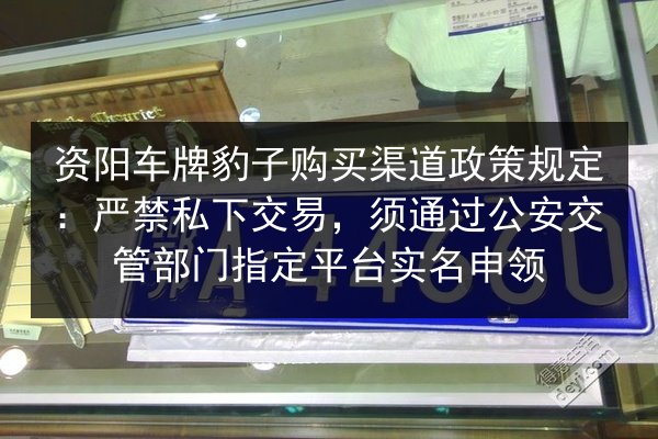 资阳车牌豹子购买渠道政策规定：严禁私下交易，须通过公安交管部门指定平台实名申领 第3张