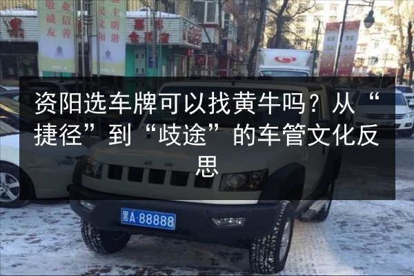 资阳选车牌可以找黄牛吗？从“捷径”到“歧途”的车管文化反思 第2张