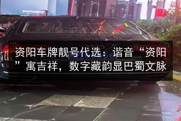 资阳车牌靓号代选：谐音“资阳”寓吉祥，数字藏韵显巴蜀文脉 第2张