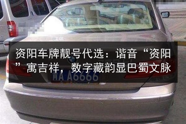资阳车牌靓号代选：谐音“资阳”寓吉祥，数字藏韵显巴蜀文脉 第3张