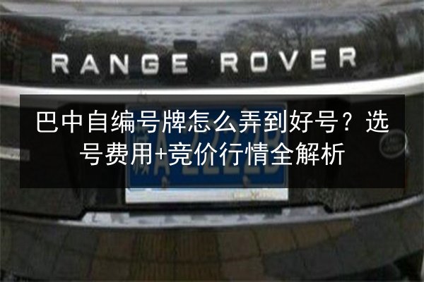 巴中自编号牌怎么弄到好号？选号费用+竞价行情全解析