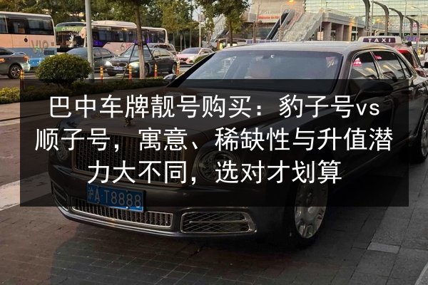 巴中车牌靓号购买:豹子号vs顺子号,寓意、稀缺性与升值潜力大不同,选对才划算 第2张 巴中车牌靓号购买:豹子号vs顺子号,寓意、稀缺性与升值潜力大不同,选对才划算 第2张