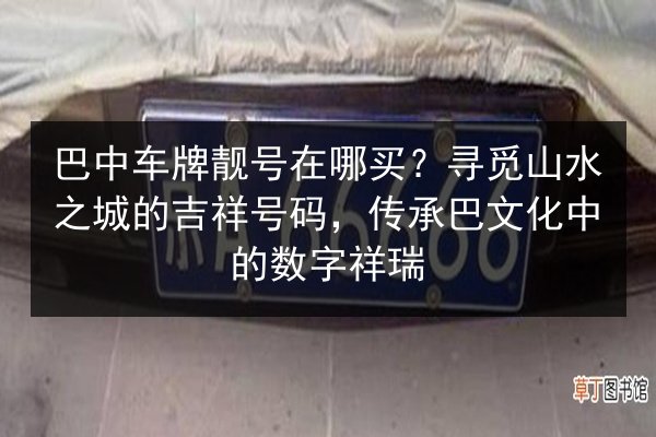巴中车牌靓号在哪买?寻觅山水之城的吉祥号码,传承巴文化中的数字祥瑞 第3张 巴中车牌靓号在哪买?寻觅山水之城的吉祥号码,传承巴文化中的数字祥瑞 第3张
