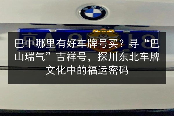 巴中哪里有好车牌号买?寻“巴山瑞气”吉祥号,探川东北车牌文化中的福运密码 第2张 巴中哪里有好车牌号买?寻“巴山瑞气”吉祥号,探川东北车牌文化中的福运密码 第2张