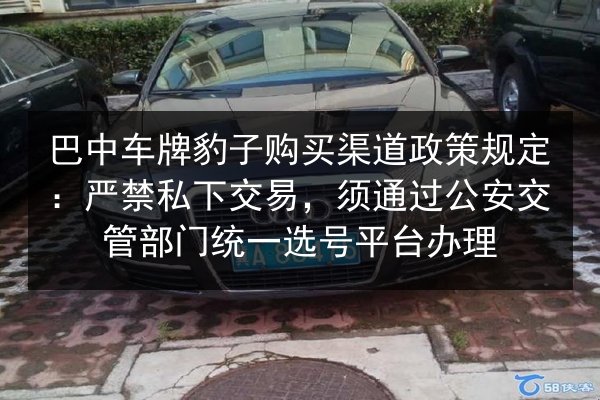 巴中车牌豹子购买渠道政策规定：严禁私下交易，须通过公安交管部门统一选号平台办理 第2张