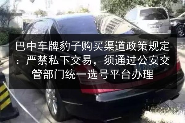 巴中车牌豹子购买渠道政策规定：严禁私下交易，须通过公安交管部门统一选号平台办理 第3张