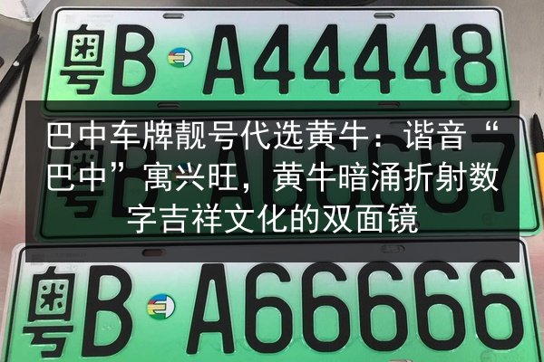 巴中车牌靓号代选黄牛:谐音“巴中”寓兴旺,黄牛暗涌折射数字吉祥文化的双面镜 第2张 巴中车牌靓号代选黄牛:谐音“巴中”寓兴旺,黄牛暗涌折射数字吉祥文化的双面镜 第2张