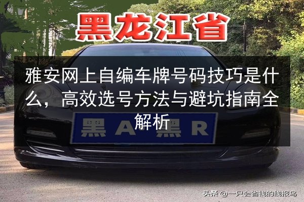 雅安网上自编车牌号码技巧是什么,高效选号方法与避坑指南全解析 第2张 雅安网上自编车牌号码技巧是什么,高效选号方法与避坑指南全解析 第2张