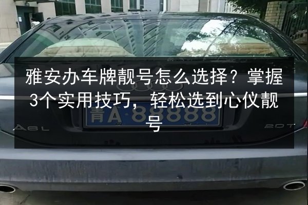 雅安办车牌靓号怎么选择?掌握3个实用技巧,轻松选到心仪靓号 第3张 雅安办车牌靓号怎么选择?掌握3个实用技巧,轻松选到心仪靓号 第3张