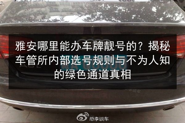 雅安哪里能办车牌靓号的？揭秘车管所内部选号规则与不为人知的绿色通道真相