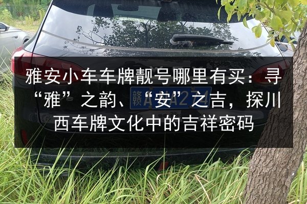 雅安小车车牌靓号哪里有买：寻“雅”之韵、“安”之吉，探川西车牌文化中的吉祥密码 第2张