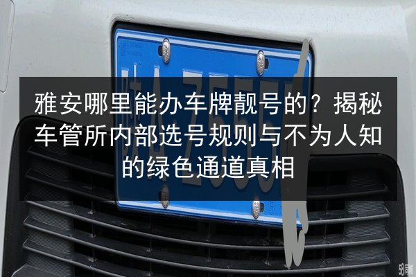 雅安哪里能办车牌靓号的?揭秘车管所内部选号规则与不为人知的绿色通道真相 第3张 雅安哪里能办车牌靓号的?揭秘车管所内部选号规则与不为人知的绿色通道真相 第3张