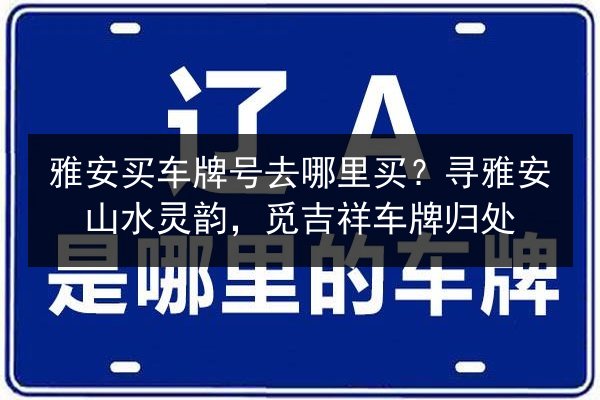雅安买车牌号去哪里买?寻雅安山水灵韵,觅吉祥车牌归处 第3张 雅安买车牌号去哪里买?寻雅安山水灵韵,觅吉祥车牌归处 第3张