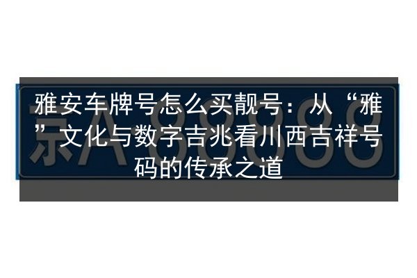 雅安车牌号怎么买靓号:从“雅”文化与数字吉兆看川西吉祥号码的传承之道 第3张 雅安车牌号怎么买靓号:从“雅”文化与数字吉兆看川西吉祥号码的传承之道 第3张