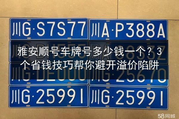 雅安顺号车牌号多少钱一个?3个省钱技巧帮你避开溢价陷阱 第1张 雅安顺号车牌号多少钱一个?3个省钱技巧帮你避开溢价陷阱 第1张