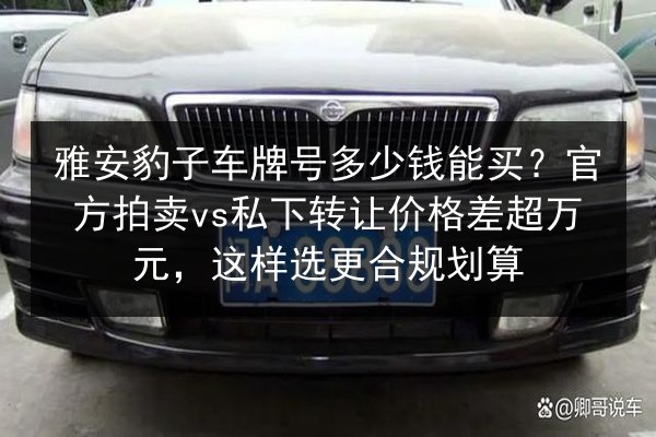雅安豹子车牌号多少钱能买?官方拍卖vs私下转让价格差超万元,这样选更合规划算 第2张 雅安豹子车牌号多少钱能买?官方拍卖vs私下转让价格差超万元,这样选更合规划算 第2张