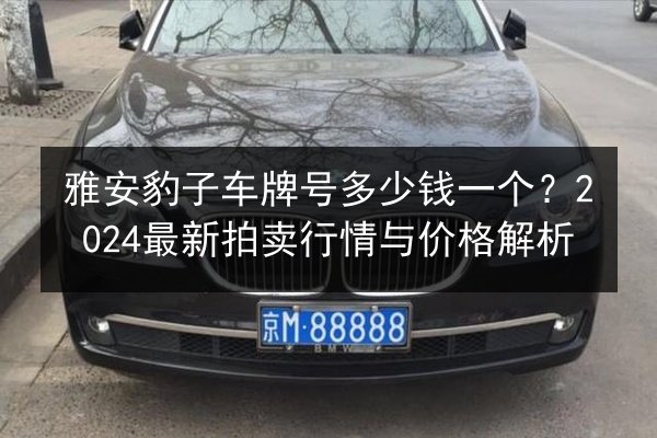 雅安豹子车牌号多少钱一个？2024最新拍卖行情与价格解析 第2张
